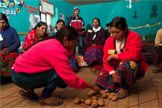 alfabetizacion-mujer ediima20140905 0500 5