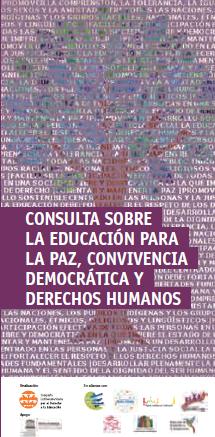 folder consulta